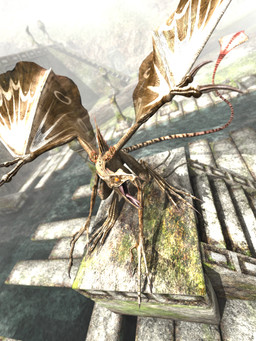 3_fingers 3_toes ambiguous_gender biped bipedal_feral brown_body brown_scales claws day digitigrade dutch_angle empty_eyes feet feral fingers high-angle_view long_tail membrane_(anatomy) membranous_wings open_mouth orange_eyes outside scales solo standing tail toes tongue tongue_out wings deino_(artist) mythology dragon mythological_creature mythological_scalie scalie 2009 3:4 3d_(artwork) autodesk_3ds_max_(artwork) digital_media_(artwork) full-length_portrait hi_res portrait