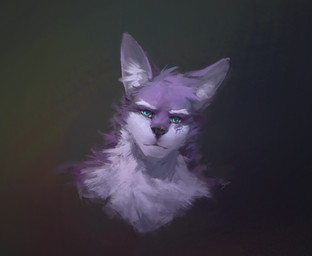 anthro black_nose blue_eyes cheek_tuft eyebrows facial_tuft front_view fur head_tuft inner_ear_fluff looking_at_viewer male mouth_closed neck_tuft purple_body purple_ears purple_fur simple_background solo tuft unsigned white_body white_eyebrows white_fur white_inner_ear_fluff awaldkize canid mammal bust_portrait hi_res portrait