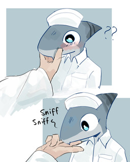 ambiguous_gender anthro anthro_focus clothed clothing countershading duo fingers grey_body grey_countershading grey_head hat headgear headwear nurse nurse_clothing nurse_hat nurse_headwear nurse_uniform onomatopoeia question_mark sniffing solo_focus sound_effects text topwear uniform white_clothing white_headwear white_topwear murace4 aquatic fish human mammal shark 4:5 absurd_res hi_res