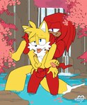 4_toes 5_fingers age_difference ahegao anal anal_penetration anthro anthro_on_anthro anthro_penetrated anthro_penetrating anthro_penetrating_anthro balls barefoot blue_eyes breath cherry_blossom cherry_blossom_tree cherry_tree cross-eyed dark_body dark_face dark_skin dipstick_tail duo erection eye_roll feet fingers flower front_view fruit_tree full_nelson fur genitals grin half-closed_eyes larger_male legs_up looking_pleasured male male/male male_penetrated male_penetrating male_penetrating_male markings multi_tail multicolored_body multicolored_fur muscular muscular_male narrowed_eyes nude older_male open_mouth panting partially_submerged pawpads penetration penile penile_penetration penis_in_ass plant prunus_(flower) purple_eyes red_body red_fur reverse_stand_and_carry_position sex size_difference smaller_male smaller_penetrated smile standing standing_sex tail tail_markings tan_body tan_fur toes tongue tongue_out tree two_tone_body two_tone_fur waterfall white_body white_fur yellow_body yellow_fur younger_male younger_penetrated arrow_hearted sega sonic_the_hedgehog_(series) knuckles_the_echidna miles_prower canid canine echidna fox mammal monotreme 5:6 hi_res