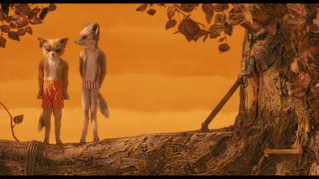 annoyed anthro autumn black_bars blue_eyes bottomwear boxers_(clothing) briefs claws clothed clothing countershading dipstick_tail duo fur green_eyes grumpy leaf leucistic looking_at_viewer male markings on_model orange_body orange_fur orange_sky outside oversized_clothing painted_background plant rope screencap shorts size_difference sky slim speedo speedo_only stop_motion sunset swimwear tail tail_markings tan_body tan_fur topless tree underwear white_body white_fur young young_male wes_anderson fantastic_mr._fox ash_fox_(fantastic_mr._fox) kristofferson_silverfox canid canine fox mammal marlfox red_fox true_fox 16:9 2008 grandfathered_content hi_res letterbox official_art widescreen