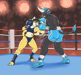 anthro biceps bottomwear boxing boxing_gloves bra clothed clothing duo female fight fighting_ring hair handwear high_waisted_bottomwear horn larger_male male male/female muscular muscular_male punch shorts simple_background size_difference smaller_female smile sport sports_bra sports_panties swimwear underwear dcheese suki_(cloudtf4587) virgil_(onyxcloud) bovid bovine cattle domestic_cat felid feline felis mammal 2021 absurd_res digital_media_(artwork) hi_res