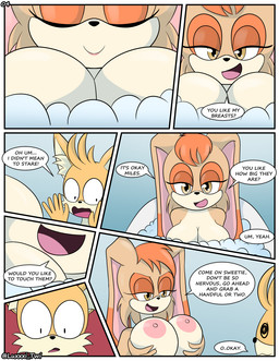 age_difference anthro areola bath bathing bathtub big_breasts breasts dialogue duo female male male/female mature_female nipples older_female pink_areola pink_nipples text younger_male luckster1234 sega sonic_the_hedgehog_(series) miles_prower vanilla_the_rabbit canid canine fox lagomorph leporid mammal rabbit comic english_text hi_res