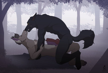 animal_genitalia animal_penis anthro black_body black_fur black_nose brown_body brown_eyes brown_fur brown_nose canine_genitalia canine_penis duo erection fangs fog forest frottage fur genitals kneeling knot log looking_at_another lying male male/male muscular muscular_anthro muscular_male nature nose_to_nose nude on_back outside penile penis penises_touching plant sex tail teeth tree wood yellow_eyes sabuky flak_(foxyflak) canid canine canis mammal wolf hi_res