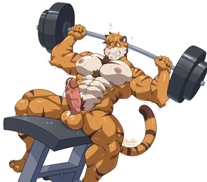 abs anthro balls barbell big_muscles bodily_fluids cum erection exercise fur genital_fluids genitals humanoid_genitalia humanoid_penis male muscular muscular_anthro muscular_male nipples nude orange_body orange_fur pecs penis pubes simple_background sitting solo striped_body striped_fur stripes weightlifting white_background workout maldu felid mammal pantherine tiger absurd_res hi_res