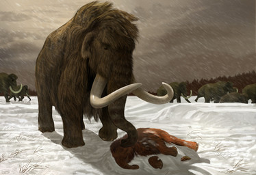 brown_body brown_fur corpse feral forest fur ginger_fur grey_sky grief group herd long_fur plant proboscis_(anatomy) quadruped sky snow snowing tree trunk_(anatomy) tusks walking young kepyle2055 elephantid mammal mammoth prehistoric_species proboscidean woolly_mammoth 2022 absurd_res hi_res mother_(lore) mother_and_child_(lore) parent_(lore) parent_and_child_(lore)