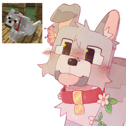 ambiguous_gender blep blocky blocky_body blocky_snout blush blush_lines cheek_tuft collar facial_tuft feral flower fur grey_body grey_fur head_tilt head_tuft inner_ear_fluff plant red_collar screencap simple_background solo square_head tongue tongue_out toony tuft white_background demonpuss microsoft minecraft mojang xbox_game_studios canid canine canis mammal pale_wolf_(minecraft) wolf wolf_(minecraft) 1:1 2023 digital_drawing_(artwork) digital_media_(artwork) low_res reference_image