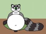 ambiguous_gender ambiguous_prey anthro belly big_belly bodily_fluids drooling green_eyes male male_pred navel offscreen_character saliva solo struggling tongue tongue_out vore hausedge howe racethecoon mammal procyonid raccoon animated digital_media_(artwork) pixel_(artwork) pixel_animation short_playtime