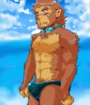 abs ape baboon beach blood blush drooling fur googles male mammal monkey nipples nosebleed primate pubes saliva seaside solo swimsuit
Rating: Questionable
Score: 4
User: Autumn~PrimateSky
Date: April 02, 2014