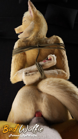anthro anus arms_tied bangs bdsm biped black_nose bondage bound breasts butt claws digitigrade duo eyebrows female female_anthro fluffy fur genitals hair hands_tied male male/female male_anthro nude open_mouth orange_body orange_fur pawpads paws penile penis restraints sex simple_background submissive vulva white_body white_fur red_wulfie claire_(red_wulfie) canid canine fox mammal red_fox true_fox 2025 3d_(artwork) 9:16 blender_(artwork) blender_cycles_(artwork) digital_media_(artwork) hi_res watermark