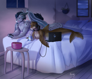 anthro bed bendy_straw beverage computer controller dorsal_fin drinking_straw duo electronics feral fin fin_hands flipper_hands flippers furniture game_controller headgear headphones headset horn laptop male pillow tail window wings northern-crosshair ringstudios mythology tuft_(ringstudios) aquatic aquatic_dragon cetacean dolphin dragon hybrid mammal mythological_creature mythological_scalie oceanic_dolphin pinniped scalie seal toothed_whale