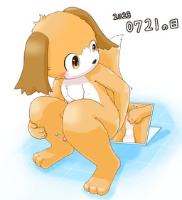 anal anthro anus bathroom kemono looking_back male masturbation mirror mirror_reflection reflection shota solo white_body young young_anthro young_male tawa_1908 canid canine canis domestic_dog mammal 2023 absurd_res hi_res