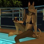 4_toes 5_fingers anthro barefoot beverage bikini black_bikini black_clothing black_swimwear blue_eyes breasts brown_body brown_fur brown_nose classy claws cleavage clothed clothing feet female fingers fur holding_beverage holding_object looking_at_viewer night poolside sea sitting smile solo swimming_pool swimwear toe_claws toes two-piece_swimsuit vehicle water watercraft yacht kisselexy jodie_bennet canid canine canis dobermann domestic_dog mammal pinscher 1:1 2020 digital_media_(artwork) hi_res