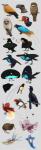 2_heads 2_plumes 3_talons 3_toes 4_talons 4_toes 6_head_plumes 6_plumes ambiguous_gender anisodactyl avian_caruncle avian_feet bald beak big_pupils biped black_beak black_body black_crest black_eyes black_face black_feathers black_feet black_markings black_scutes black_tail black_tail_feathers black_talons black_wattle black_wings blue_beak blue_body blue_eyes blue_face blue_feathers blue_feet blue_plume blue_scutes blue_wings branch brown_beak brown_body brown_face brown_feathers brown_tail brown_tail_feathers casque_(anatomy) countershade_feathers countershade_torso countershading courtship dark_beak dark_body dark_eyes dark_face dark_feathers dark_feet dark_pupils dark_tail dark_tail_feathers dark_talons dark_wattle dark_wings dewlap_(anatomy) dipstick_beak dipstick_tail eye_markings feathered_crest feathered_wings feathers feet feral flank_plume folded_wings green_eyes grey_beak grey_body grey_face grey_feathers grey_feet grey_scutes grey_tail grey_tail_feathers grey_wings head_crest head_plume hooked_beak light_beak light_body light_feathers long_plume long_tail long_tail_feathers looking_up male markings mating_ritual monotone_beak monotone_body monotone_crest monotone_face monotone_feathers monotone_feet monotone_tail monotone_wings mouth_closed multi_head multicolored_beak multicolored_body multicolored_face multicolored_feathers multicolored_plume multicolored_tail multicolored_wings narrow_beak no_sclera on_branch open_beak open_mouth orange_body orange_face orange_feathers orange_plume orange_tail orange_tail_feathers orange_wings perching plume plumes pointy_beak pupils red_body red_eyes red_face red_feathers red_tail red_tail_feathers red_wings scutes short_beak solo spots spotted_body spotted_feathers spotted_markings spread_wings standing tail tail_feathers tail_markings tail_wire talons tan_beak tan_eyes tan_feet tan_scutes thick_beak toe_talons toes turquoise_body turquoise_feathers turquoise_wings two_tone_beak two_tone_body two_tone_face two_tone_feathers two_tone_wings wattle white_beak white_body white_countershading white_eyes white_face white_feathers white_markings white_plume white_spots white_wings wide_tail wings yellow_beak yellow_eyes yellow_face yellow_plume chiakiro aquatic_gastropod avian bird blue_bird-of-paradise bronze_parotia bucerotiform capuchinbird cotingid crescent-caped_lophorina fish gastropod great_potoo greater_lophorina helmeted_hornbill hornbill king_of_saxony_bird-of-paradise kiwi_(bird) lionfish long-wattled_umbrellabird lophorina marine mollusk new_world_suboscine oscine paradisaea_(genus) paradisaeid parotia passerine potoo ratite scorpaeniform sea_angel sea_slug slug species_request suboscine umbrellabird western_parotia absurd_res headshot_portrait hi_res multiple_images portrait