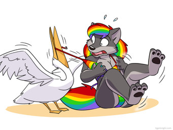anthro bikini bodily_fluids bottomwear breasts butt cleavage clothed clothing duo female feral fur grey_body grey_fur hair multicolored_hair multicolored_tail pawpads rainbow_bikini rainbow_hair rainbow_tail removing_topwear simple_background slightly_chubby sweat sweatdrop swimwear tail tearing_clothing tongue torn_clothing two-piece_swimsuit white_background cartoonwolf 9_to_9 ammy_(9_to_9) avian bird canid canine canis mammal pelecaniform pelican wolf 4:3 colored digital_drawing_(artwork) digital_media_(artwork) shaded