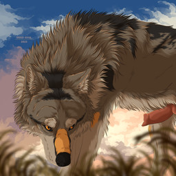 animal_genitalia animal_penis blue_sky canine_genitalia canine_penis cloud digitigrade ears_up erection feral fur genitals grass grey_body grey_fur knot male male_feral markings orange_eyes orange_markings penis plant quadruped realistic_feral sky snout solo sunset msdeadsoul canid canine canis mammal wolf 1:1 digital_media_(artwork) digital_painting_(artwork) hi_res painting_(artwork) shaded