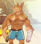 abs anthro arm_wraps bandage beach biceps big_muscles bottomwear brown_body brown_fur clothed clothing fangs fur green_eyes looking_at_viewer male muscular muscular_anthro muscular_male nipples obliques pecs scar seaside shorts simple_background solo standing teeth topless triceps wraps cuson canid canine canis dobermann domestic_dog mammal pinscher