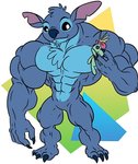 3_toes 4_fingers abs anthro anthrofied biceps big_muscles biped black_eyes blue_body blue_claws blue_fur blue_nose chest_tuft chin_tuft claws facial_tuft featureless_crotch feet fingers fur head_tuft holding_object holding_toy huge_muscles male muscular muscular_anthro muscular_male nude pecs pupils rag_doll_(toy) simple_background smile solo standing toe_claws toes toy triceps tuft white_pupils powerblock87 disney lilo_and_stitch scrump stitch_(lilo_and_stitch) alien experiment_(lilo_and_stitch) inanimate_object 2021 digital_media_(artwork) flat_colors low_res