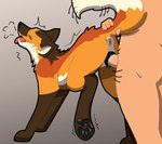 animal_genitalia animal_pussy anus bestiality bodily_fluids breath brown_body brown_fur canine_genitalia canine_pussy duo erection eyes_closed fangs female female_focus female_penetrated feral feral_focus feral_penetrated from_behind_position fur genital_fluids genitals human_on_feral human_penetrating human_penetrating_feral humanoid_genitalia humanoid_penis interspecies looking_pleasured male male/female male_penetrating male_penetrating_female motion_lines orange_body orange_fur panting pawpads paws penetration penile penile_penetration penis penis_in_pussy pussy raised_leg raised_tail sex simple_background solo_focus standing standing_sex tail tail_grab tail_motion tail_pull tailwag tan_body teeth tongue tongue_out vaginal vaginal_fluids vaginal_penetration white_body white_fur lotnik5 canid canine canis human mammal maned_wolf wolf absurd_res hi_res shaded simple_shading