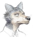 anthro black_eyes clothed clothing fangs frown fur grey_body grey_fur male simple_background solo tan_body tan_fur teeth whiskers white_background conditional_dnp jonas beastars legoshi_(beastars) canid canine canis mammal wolf sketch