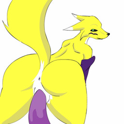 anthro anus armwear black_sclera bodily_fluids butt clothing cowgirl_position duo elbow_gloves erection female female_focus female_on_top female_penetrated from_behind_position from_front_position fur genital_fluids genitals gloves green_eyes handwear looking_at_viewer male male/female male_on_bottom male_penetrating male_penetrating_female mostly_nude on_bottom on_top penetration penile penile_penetration penis penis_in_vagina sex solo_focus straddling tail vaginal vaginal_fluids vaginal_penetration vulva white_body white_fur yellow_body yellow_fur besped bandai_namco digimon canid canine digimon_(species) mammal renamon 1:1 2d_animation animated low_res motion_tweening