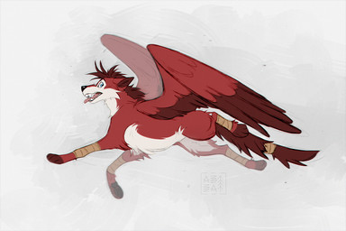 black_nose blue_eyes cheek_tuft facial_tuft fangs feathered_wings feathers feral fur hair looking_back male open_mouth pink_tongue red_body red_fur red_hair red_wings running short_hair side_view simple_background snout solo tail teeth tongue tongue_out tuft white_body white_fur wings azzai canid canine canis mammal wolf 2025 3:2 colored colored_sketch digital_drawing_(artwork) digital_media_(artwork) flat_colors sketch