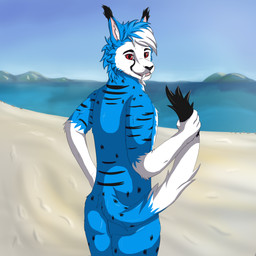 anthro beach holding_tail holding_tail_up looking_at_viewer looking_back male raised_tail seaside solo tail ryks domestic_cat felid feline felis hybrid mammal vampire 1:1 absurd_res hi_res