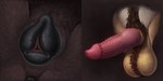 animal_genitalia animal_pussy anthro anus ball_tuft balls black_anus black_pussy brown_balls brown_body brown_fur canine_genitalia canine_pussy erection faceless_anthro faceless_character faceless_female faceless_male female fur genitals hybrid_genitalia hybrid_penis knot male monotone_genitals monotone_penis multicolored_balls multicolored_pussy nude penile_spines penis pink_inner_pussy pink_penis pink_pussy pussy simple_background solo spread_legs spreading tan_balls tan_body tan_fur text tuft two_tone_balls two_tone_pussy himeragoldtail 2021 2:1 artist_name detailed multiple_images