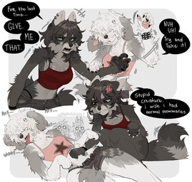 anthro belly_rub biped bottomwear breasts claws clothed clothed_anthro clothed_female clothing countershade_torso countershading crop_top dialogue duo female fingers fully_clothed fully_clothed_anthro fully_clothed_female fur hair midriff navel pants petting shirt smile speech_bubble tail teeth text tongue topwear raccoattack racc_(raccoattack) canid canine canis domestic_dog mammal procyonid raccoon 2026 digital_drawing_(artwork) digital_media_(artwork) english_text hi_res
