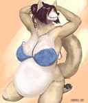 anthro belly big_belly big_breasts bite biting_lip black_hair bra bra_strap breasts cleavage clothed clothing female fur hair huge_belly huge_breasts kneeling pregnant pregnant_anthro pregnant_female raised_arms sagging_breasts solo tan_body tan_fur thong underwear underwear_only bbpxls canid canine mammal hi_res