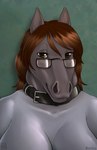 anthro black_collar brown_eyes brown_hair collar eyewear female front_view fur glasses glistening glistening_hair grey_body grey_ears grey_fur grey_inner_ear hair half-closed_eyes narrowed_eyes rectangular_glasses simple_background smile solo skyelegs alundra equid equine horse mammal 2020 bust_portrait dated hi_res portrait signature