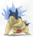 animal_genitalia animal_penis balls canine_genitalia canine_penis erection feral generation_2_pokemon genitals hi_res knot male nintendo penis pokemon pokemon_(species) python13rp simple_background solo typhlosion white_background yaroul