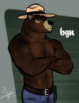 anthro brown_body brown_fur clothing crossed_arms fur hat headgear headwear male muscular muscular_anthro muscular_male solo text text_on_clothing text_on_hat text_on_headwear bgn united_states_forest_service smokey_bear american_black_bear bear black_bear mammal ursine 2017