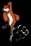 alpha_channel anthro canid canine feet foot_focus fox latex male mammal plantigrade simple_background solo sound_effects swatcher transparent_background