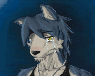 anthro bodily_fluids cheek_tuft clothing crying facial_tuft fur grey_body grey_fur grey_hair hair kemono male multicolored_body multicolored_fur shirt solo tank_top tears topwear tuft two_tone_body two_tone_fur tsuchinoko_(artist) morenatsu kouya_aotsuki canid canine canis domestic_dog husky mammal nordic_sled_dog spitz 2011 5:4 japanese_description
