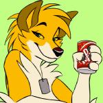 1:1 animated anthro beverage canid canine canis deni dingo dog_tags dr_pepper drinking female fur green_background looking_at_viewer low_res mammal multicolored_body multicolored_fur one_eye_closed short_playtime silverdeni simple_background smile smirk soda soft_drink solo two_tone_body two_tone_fur white_body white_fur wink yellow_body yellow_fur