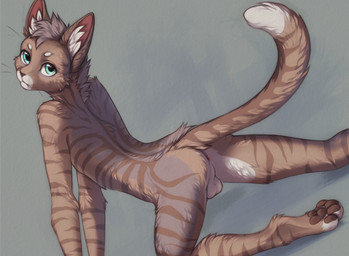 4_toes all_fours anthro anus arched_back arm_markings back_markings backsack balls biped blue_eyes brown_markings brown_nose brown_pawpads brown_stripes butt casual_nudity countershade_balls countershade_butt countershade_face countershade_fur countershade_genitalia countershade_legs countershading cute_fangs dipstick_tail exposure_variation eyebrows fangs feet fur fur_markings genitals grey_background grey_body grey_fur grey_hair hair hindpaw inner_ear_fluff iris leg_markings long_tail looking_at_viewer looking_back looking_back_at_viewer male male_anthro markings monotone_hair mouth_closed multicolored_body multicolored_fur neck_markings nude nude_anthro nude_male one_fang pawpads paws perineum pink_anus pose pupils rear_view red_inner_ear short_hair shoulder_markings side_view simple_background slim slim_anthro slim_male snaggle_tooth solo striped_body striped_fur striped_markings striped_tail stripes tail tail_markings tan_body tan_fur tan_tail tasteful_nudity teeth three-quarter_view toeless_(marking) toes tuft whiskers white_balls white_body white_countershading white_eyebrows white_inner_ear_fluff white_markings white_perineum white_sclera white_tail_tip white_toes white_tuft yshanii dominick_(tiredtabby) domestic_cat felid feline felis mammal 2026 digital_drawing_(artwork) digital_media_(artwork) hi_res pinup portrait shaded