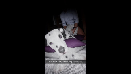 animal_genitalia animal_vulva ass_up balls bed bestiality big_penis bouncing_balls buckold butt canine_genitalia canine_vulva caption_box cheating_husband claws clothed clothing cowgirl_position cucked_by_feral cuckold cuckquean deep_throat dominant dominant_female duo erection eyelashes fellatio fellatio_from_feral female female_feral female_focus female_on_top female_penetrated feral feral_on_top feral_penetrated from_behind_position from_front_position front_view fur furniture genital_shot genitals hair human_on_feral human_penetrating human_penetrating_female human_penetrating_feral humanoid_genitalia humanoid_penis infidelity interspecies light_body light_skin looking_at_viewer male male/female male_human male_on_feral male_penetrating male_penetrating_female male_penetrating_feral mature_female multi_view on_bottom on_top oral oral_penetration partially_clothed penetration penile penile_penetration penis penis_shot plump_labia purple_eyes realistic realistic_anatomy realistic_feral rear_view recording sex solo_focus sound_effects tail text three-quarter_view toe_claws tongue uncanny_valley vaginal vaginal_penetration vaginal_tugging vulva furjoe0 sound_warning third-party_edit snapchat canid canine canis dalmatian domestic_dog human mammal 2025 3d_(artwork) 3d_animation animated digital_media_(artwork) english_text hi_res huge_filesize short_playtime sound sound_edit