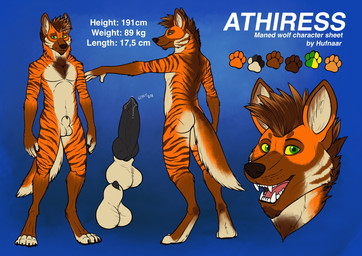 animal_genitalia animal_penis anthro athletic athletic_anthro athletic_male balls black_penis blue_eyes brown_hair butt canine_genitalia canine_penis erection facial_markings fangs front_view fur genitals glistening glistening_eyes gloves_(marking) hair head_markings knot leg_markings looking_at_viewer male male_anthro markings mouth_closed nude open_mouth open_smile orange_body orange_fur penis penis_tip precum_on_own_penis rear_view red_tongue sheath short_hair smile socks_(marking) solo standing striped_arms striped_face striped_legs stripes teeth text tongue white_balls white_body white_fur white_sheath yellow_sclera hufnaar canid canine mammal maned_wolf absurd_res english_text hi_res model_sheet