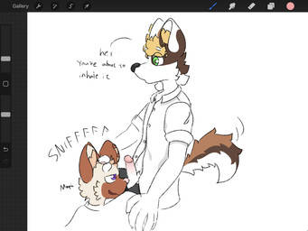 5_fingers anthro ball_sniffing balls biped black_clothing black_underwear blonde_hair brown_body brown_fur bulge bulge_in_face clothed clothing dialogue duo fingers fur genitals glans green_eyes hair half-closed_eyes holding_head humanoid_genitalia humanoid_penis male male/male male_anthro moan narrowed_eyes open_mouth penis penis_sniffing purple_eyes shirt sitting sniffing sound_effects tail tail_motion tailwag tan_body tan_fur text topwear underwear white_clothing white_shirt white_topwear burritortilla milo_kim richard_lim canid canine canis domestic_cat domestic_dog felid feline felis mammal 4:3 english_text hi_res