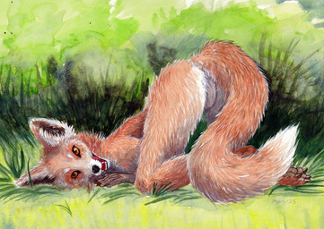 anthro claws fangs fantasy female female_anthro genitals grass grass_field looking_at_viewer lying on_front open_mouth plant presenting presenting_vulva shows solo spring tail teeth vulva dimasbka canid canine fox mammal red_fox true_fox 2025 colored detailed hi_res shaded traditional_media_(artwork)