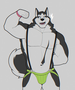 anthro areola biceps black_nose blue_eyes bracelet bulge clothing curled_tail flexing flexing_bicep front_view fur green_clothing green_underwear grey_background jewelry looking_at_viewer male multicolored_body multicolored_fur muscular muscular_male navel nipples open_mouth pecs pink_areola pink_nipples simple_background solo tail teeth two_tone_body two_tone_fur underwear andeandog extracurricular_activities spencer_(extracurricular_activities) canid canine canis domestic_dog husky mammal nordic_sled_dog spitz 2026 absurd_res colored digital_drawing_(artwork) digital_media_(artwork) flat_colors hi_res