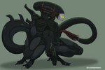 balls genitals male not_furry penis solo tail scrapheap_(artist) alien_(franchise) alien humanoid xenomorph 3:2