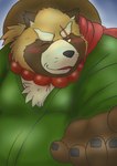 anthro belly blush brown_body brown_fur clothed clothing fur hat headgear headwear humanoid_hands kemono male one_eye_closed overweight overweight_male scar solo wink mametanu_tanuki lifewonders tokyo_afterschool_summoners gyobu_(tas) canid canine mammal raccoon_dog tanuki 2024 hi_res portrait