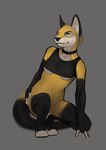 anthro female latex sitting smile solo conditional_dnp latex_(artist) alyx_(latex) canid canine canis domestic_cat felid feline felis hybrid lynx mammal wolf 2017