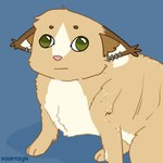 brown_body brown_fur ear_piercing ear_ring female feral freckles fur green_eyes humor piercing ring_piercing silly solo white_body white_fur yellow_body yellow_fur sourmagic levi_kyros domestic_cat felid feline felis mammal valta meme