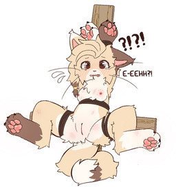 anthro arms_tied bdsm bite_mark bite_mark_on_breast blush bodily_fluids bondage bound breasts bruised cross feet female fur genitals hair innie_vulva inverted_cross legs_tied long_whiskers multicolored_body multicolored_fur nipples nude pawpads paws presenting presenting_vulva questionable_consent restraints simple_background solo spread_legs spreading tail tan_body tan_fur tears teary_eyes text vulva whiskers white_background aarelthings caramel_(aarelthings) domestic_cat felid feline felis mammal digital_media_(artwork) hi_res