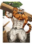 abs anthro armpit_hair beard body_hair facial_hair genitals happy_trail male muscular muscular_anthro muscular_male nipples pecs penis solo striped_body stripes tail vein veiny_penis traver009 felid mammal pantherine tiger absurd_res hi_res