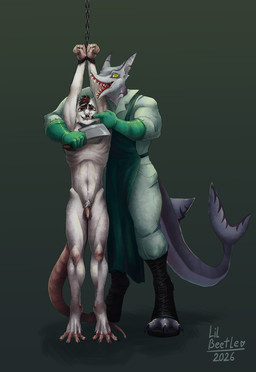 anthro bdsm bernard_(lil_beetle) bondage bound butcher clothing duo genitals humanoid_genitalia humanoid_penis imminent_death male male/male muscular muscular_anthro muscular_male nude penis restraints rope rope_bondage simple_background lil_beetle aquatic edestus fish mammal murid murine rat rodent shark absurd_res hi_res