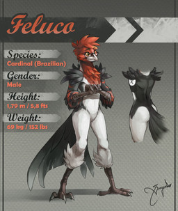 anthro arm_tuft avian_feet beak black_body black_eyebrows black_feathers black_tail_feathers butt cheek_tuft chest_tuft eyebrows eyewear facial_tuft feathers front_view glasses hair leg_markings leg_tuft male markings mouth_closed rear_view rectangular_glasses red_body red_feathers red_hair shoulder_tuft socks_(marking) solo standing tail tail_feathers text tuft white_body white_feathers yellow_eyes yellow_sclera vesper_art avian bird english_text hi_res model_sheet signature